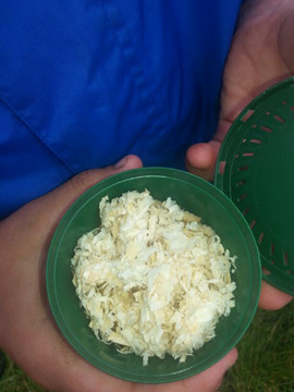 Ferienclub Popcorn Schafstedt Klassenfahrten und Wochenenden