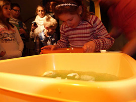 Ferienclub Popcorn Schafstedt Klassenfahrten und Wochenenden
