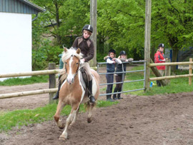 Ferienclub Popcorn Schafstedt Klassenfahrten und Wochenenden