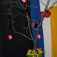 P1260999